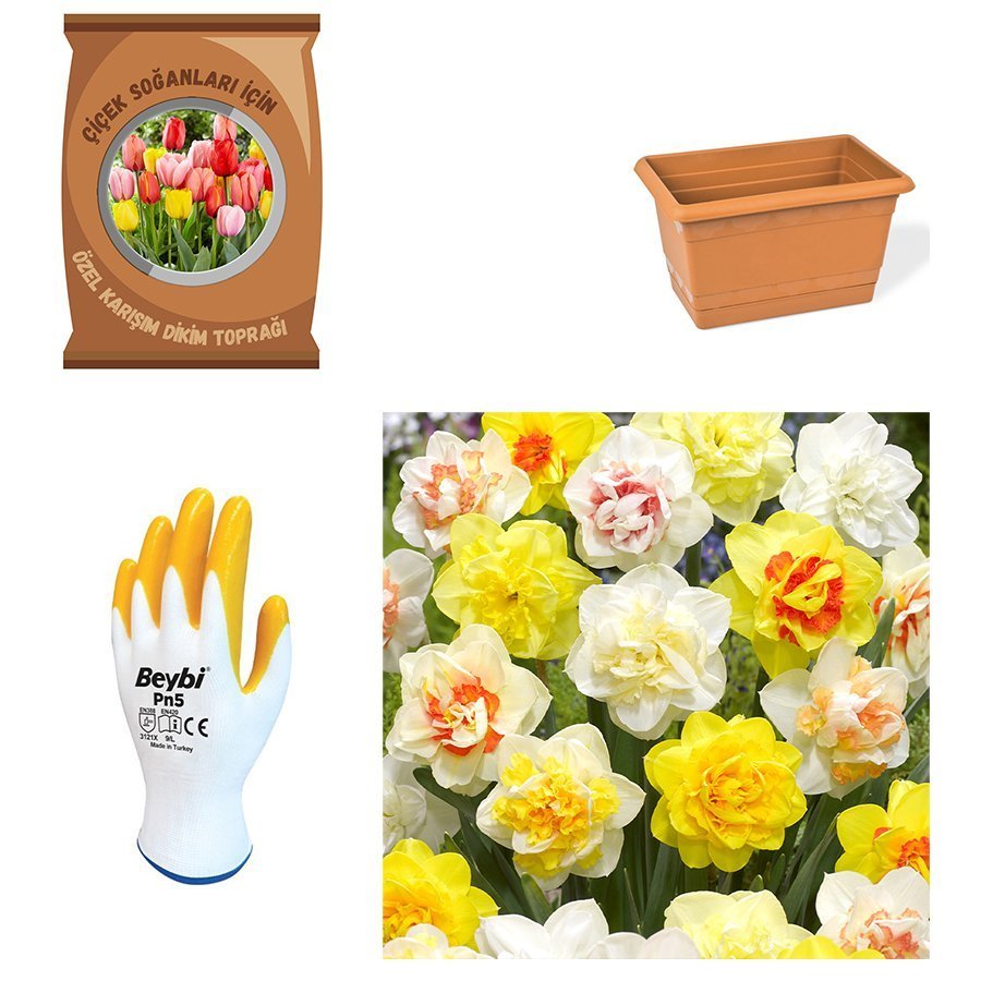 Karışık Mix Nergis Soğanı Paket-Toprak-Soğan-Saksı-Eldiven