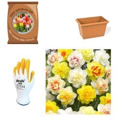 Karışık Mix Nergis Soğanı Paket-Toprak-Soğan-Saksı-Eldiven