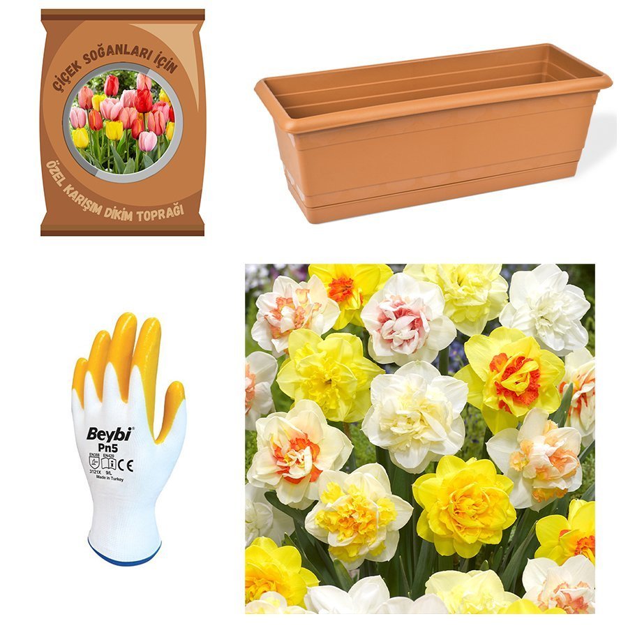 Karışık Mix Nergis Soğanı Paket-Toprak-Soğan-Saksı-Eldiven