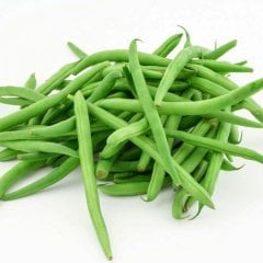 Tegen Taze Oturak Fasulye Tohumu-50 Gram