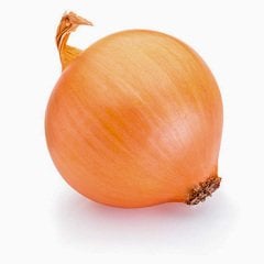 Uzun Gün Valencia Soğan Tohumu-5 Gram