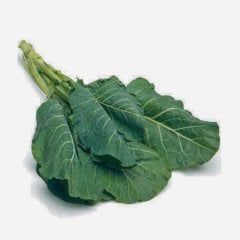 Sarmalık Karadeniz Lahana Tohumu-5 Gram